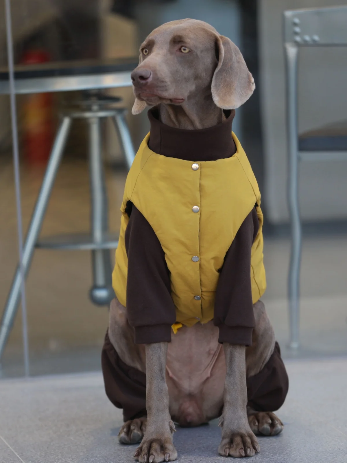暖かいチェック柄コットンジャケット犬用冬用サーマルベスト大型犬服ラブラゴールデンレトリバーワーキングボーダーコリー