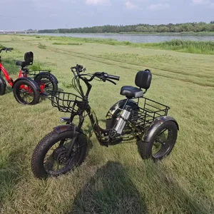 دراجة ثلاثية العجلات الكهربائية 20 بوصة الدهون الإطارات 500w12ah الثلج جبل 3 عجلات دراجة كهربائية الترفيه سلة تخزين كبيرة للبالغين دراجة ثلاثية العجلات أعلى 8 مبيعات 3 عجلات دراجة ثلاثية العجلات الكهربائية - رقم 6