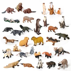 Figurines d'animaux de la forêt peintes à la main, Kanters, Meerkat, Castor, Raton laveur, Blaireau, Capybara, Modèle de décoration, Jouets de collection, Cadeau de simulation