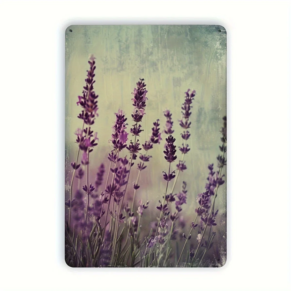 1 plaque en métal vintage à thème lavande, 20,32x30,48 cm, décoration murale florale, décoration intérieure/extérieure pour la maison, le restaurant, le bar, le café, D