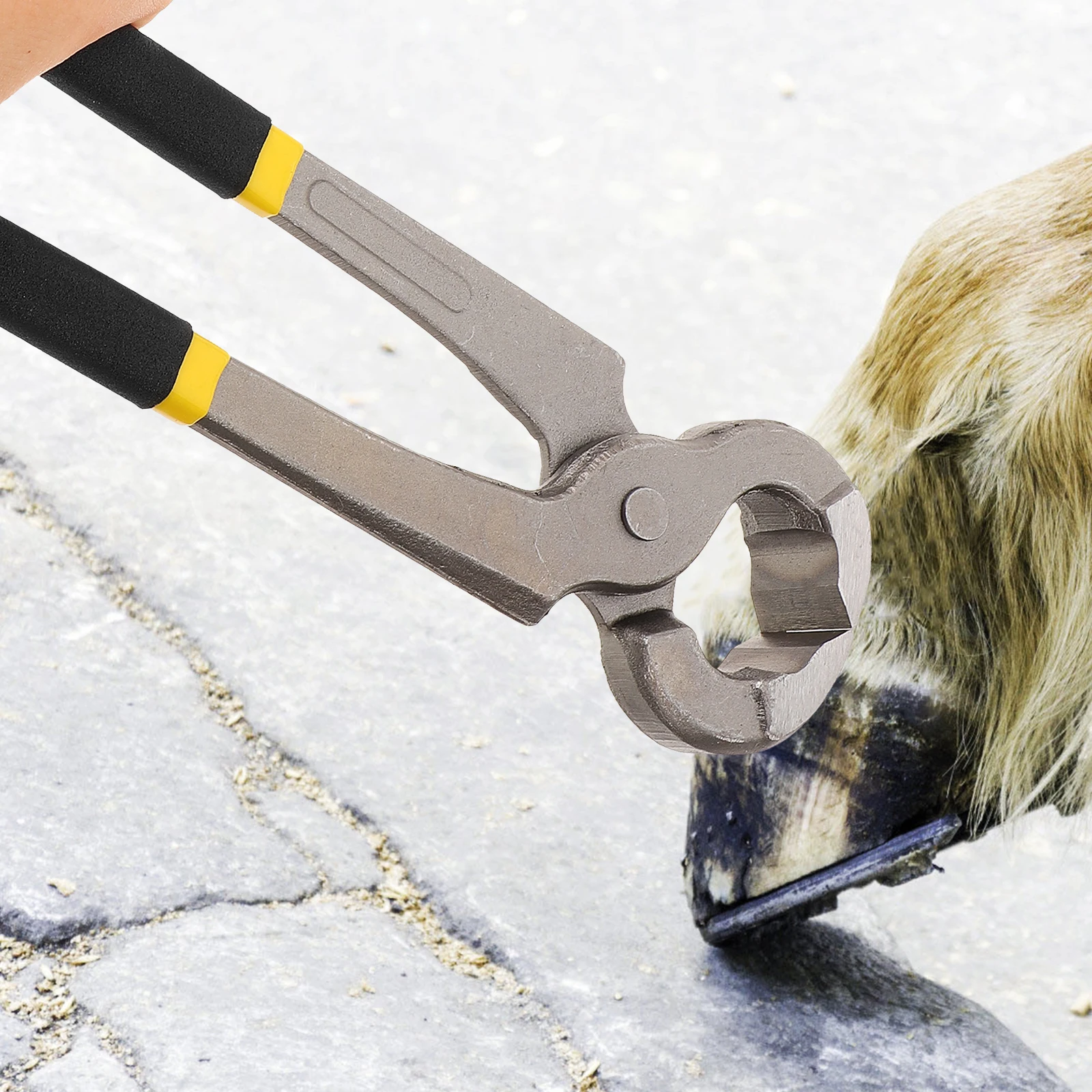 

Hoof Trimmer 20cm Thicken Pliers for Cows Horses Sheep Camels Nail Nipper Metal Shears Lightweight Portable Multifunctional Tool