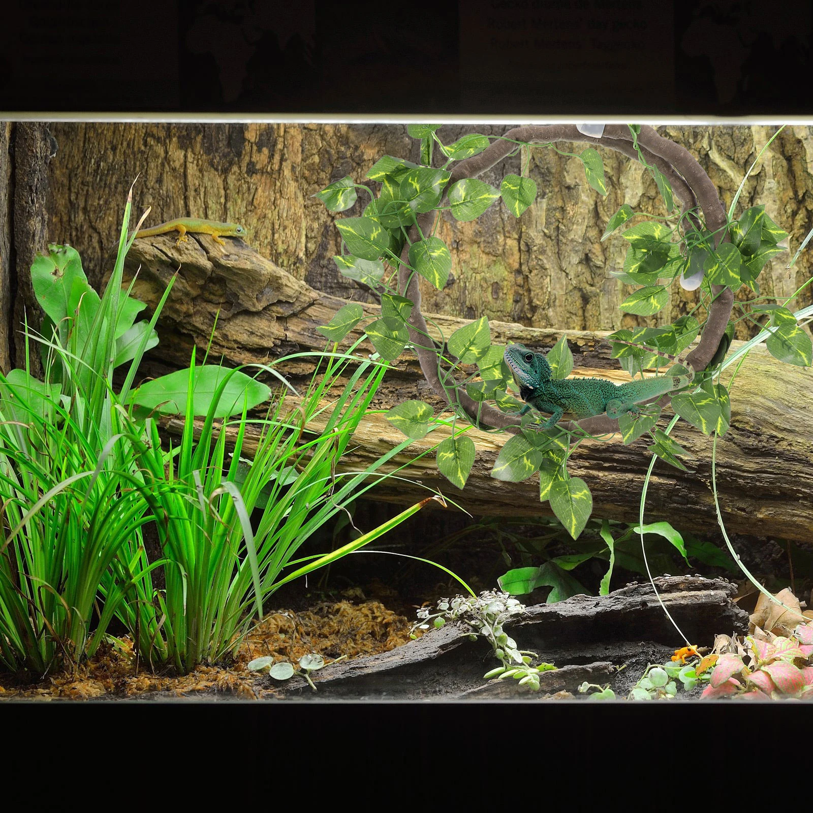 

1Set Simulation Rattan Reptile Vine Bend Branch Artificial Plant Lifelike Leaves Terrarium Decor Reptile Cage Landscape Pet Tank