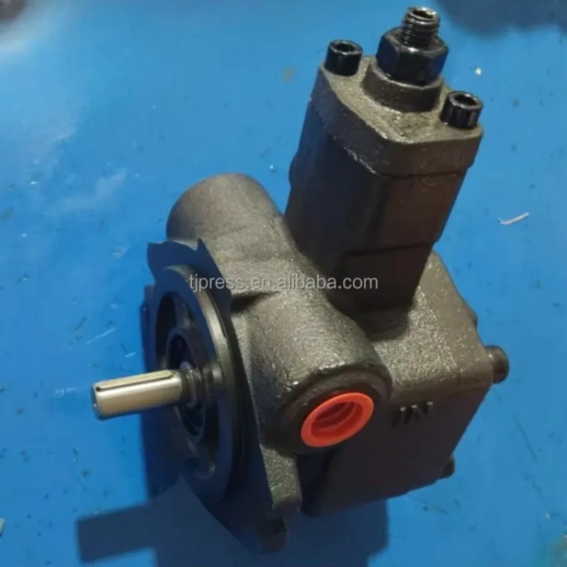 Vane Pump SVPF-40-70-20 SVPF-40-70-20 SVPF-20-70-20 SVPF-20-70-10 SVPF-12-35-20 SVPF-30-55-20 Hydraulic Pumps