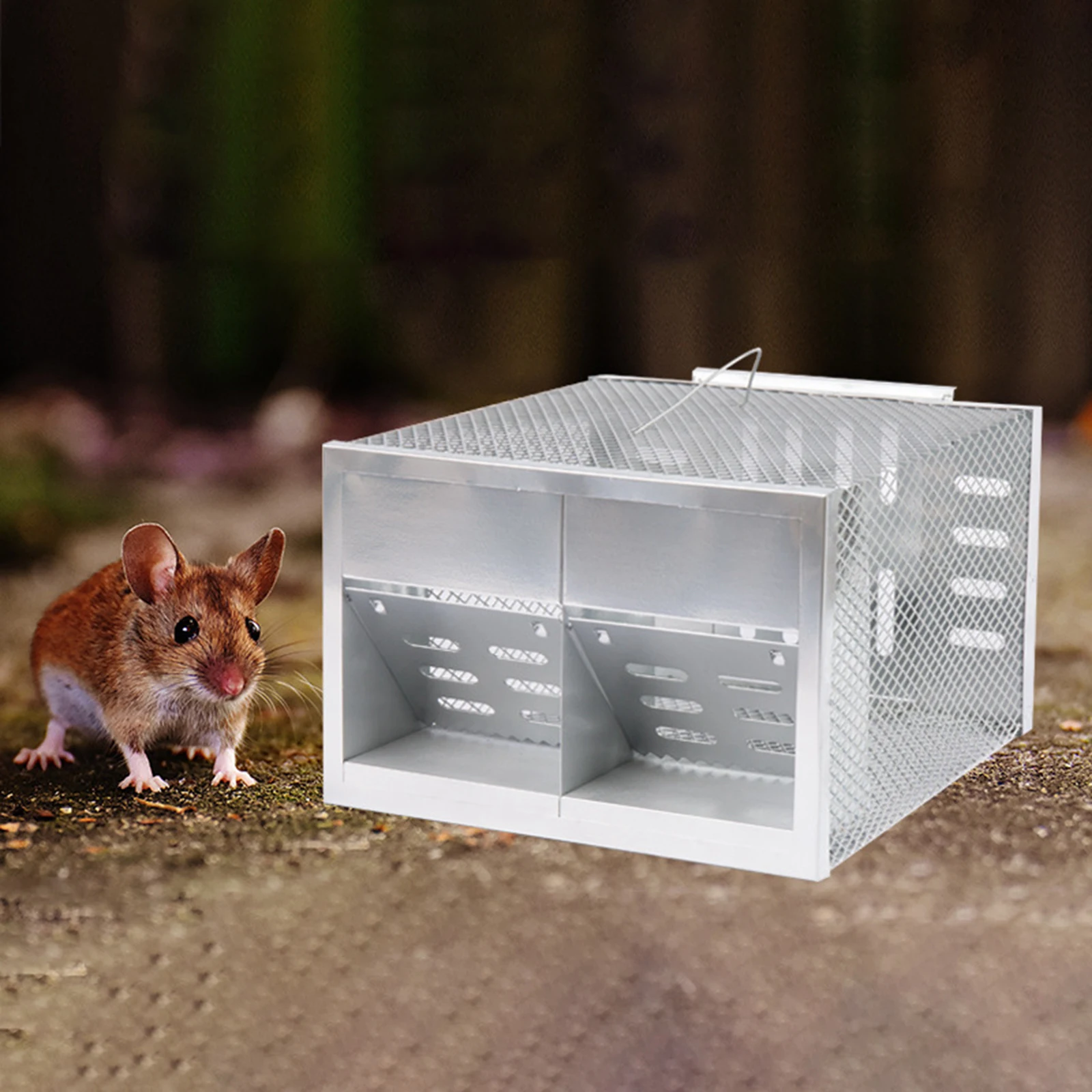 Humane Mouse Traps Easy to Set Rat Traps Vole Mice Catcher Rat Catching Cage for Home Indoor Outdoor Use Mouse Catching Tool