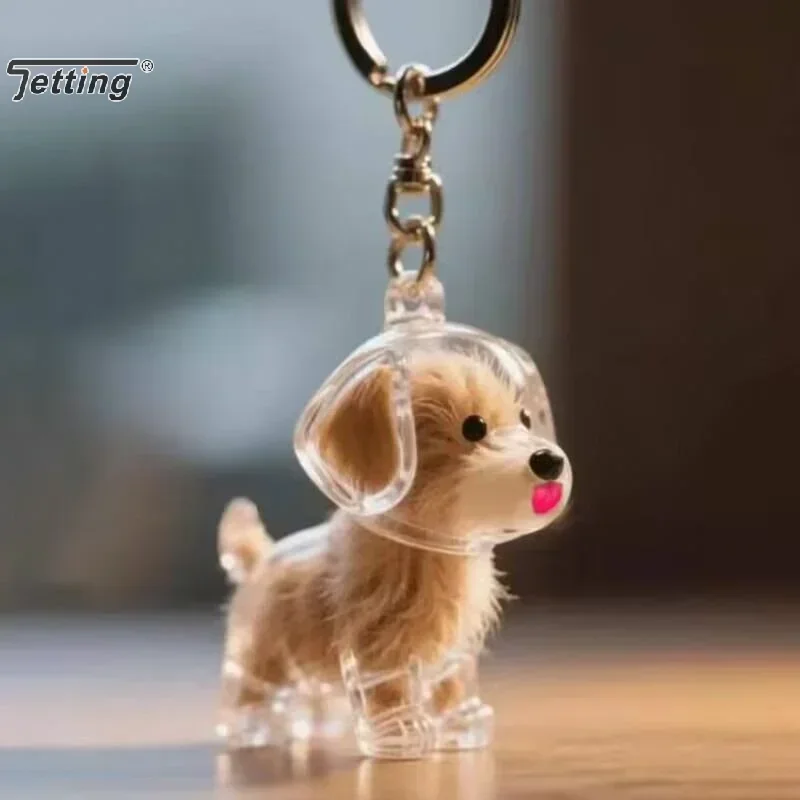 Collezione di peli di cani e gatti Ciondolo Scatola portaoggetti per capelli Borsa Fascino Pendenti per animali domestici Capsula per capelli trasparente Cani Gatti Souvenir Regalo