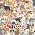 50PCS