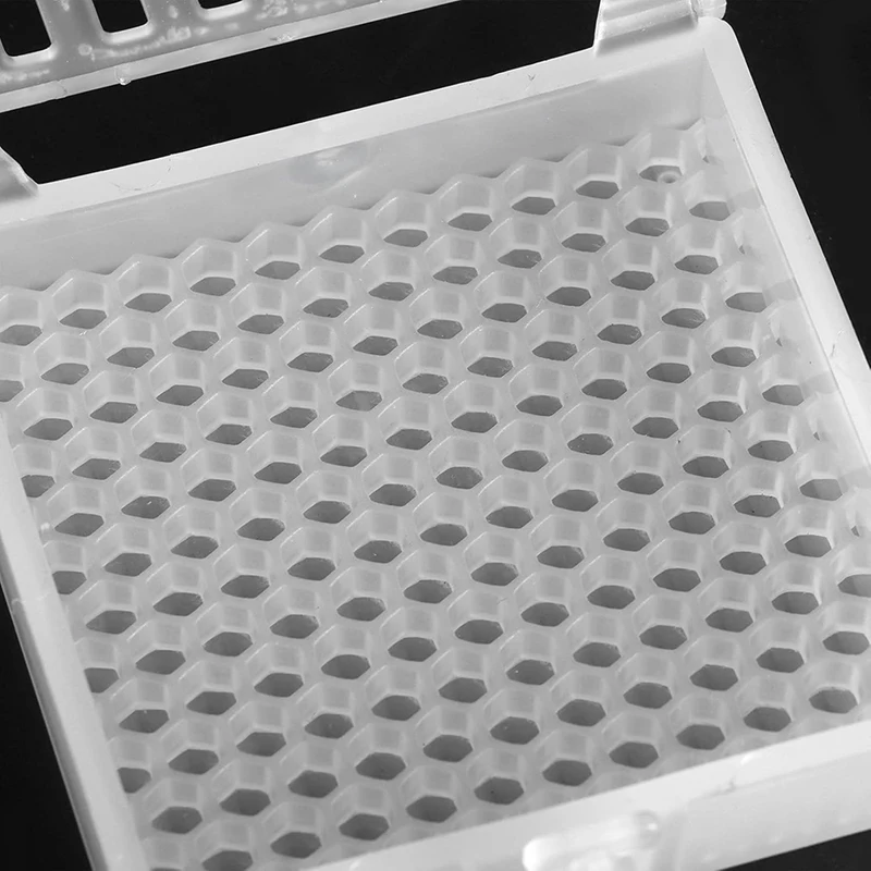 صنع قفص تربية النحل قفص النحل المتحرك قفص الماسك النحل قفص البلاستيك تربية النقل أداة ملحقات تربية النحل (5 قطعة)