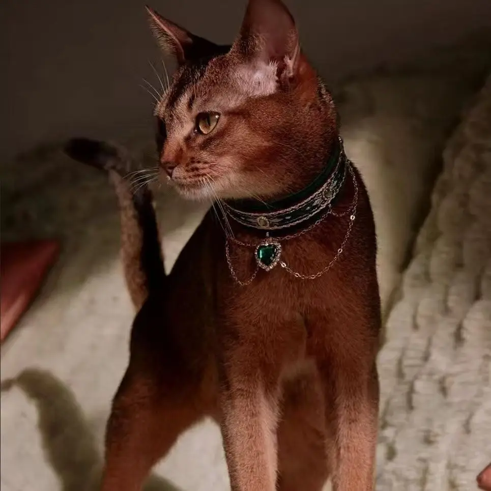 coleira-de-gato-pequeno-filhote-de-cachorro-cachorro-colar-borla-pescoco-anel-ornamento-bonito-gatinho-pescoco-cachecol