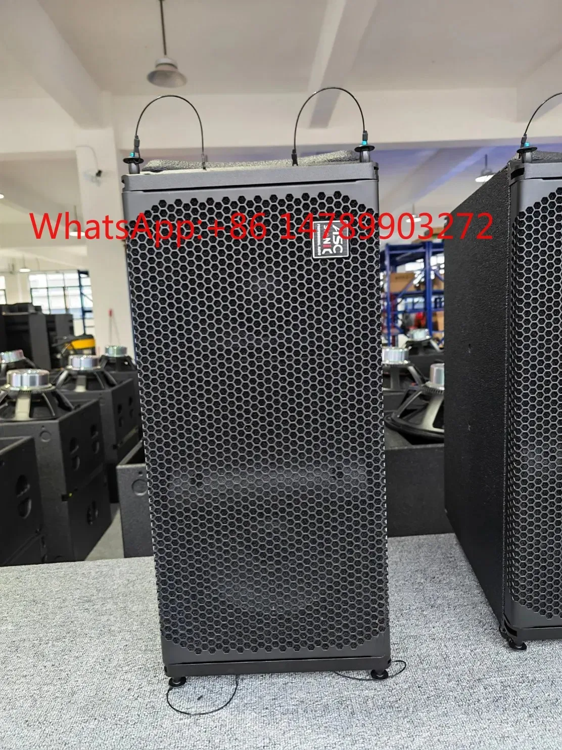 

Active La-210p Dual 10 Inch 1000W 2-Way Line Array Professional Speaker System