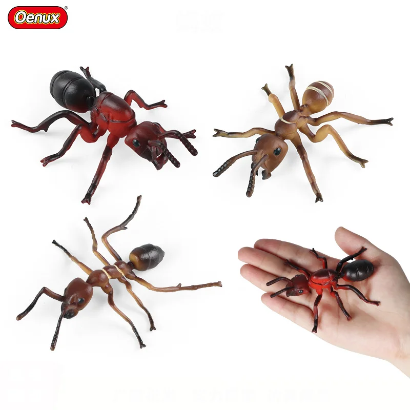 Realistic Ant Figurine Set Simulation Insect Red Ant & Honey Ant Model Montessori Educational Resource Nature Display Collection