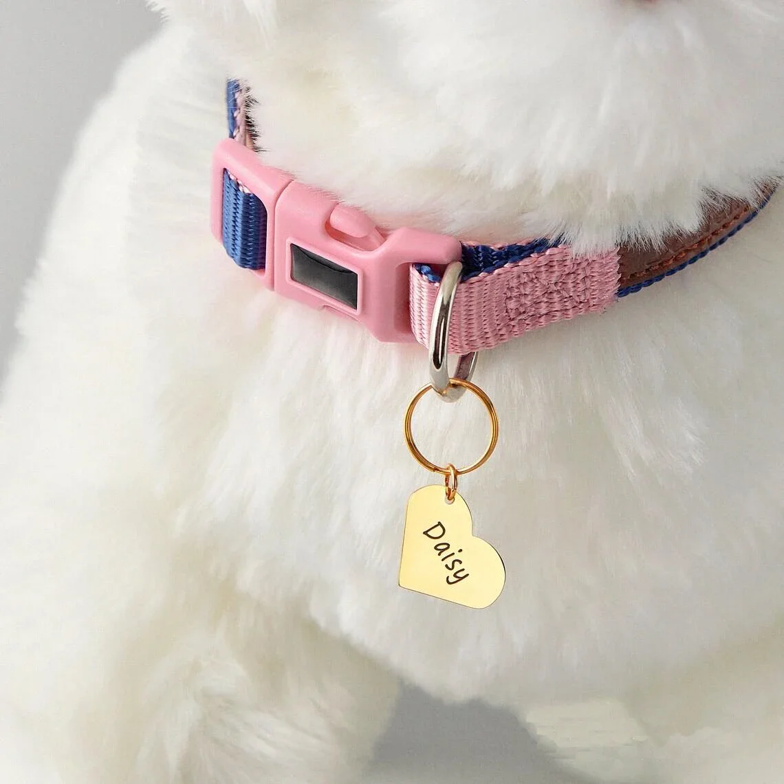 Custom Engraved Name Date Heart Keyring Stainless Steel Personalized Dogs ID Tags Pet Collar Coin Charm Dog Name Anti Lost Pet