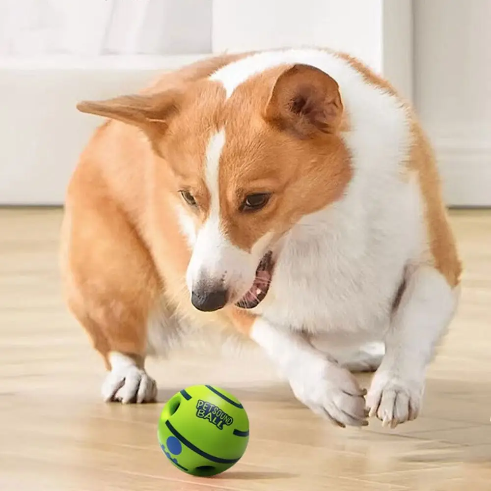 

Pet Supplies Durable Dog Ball Interactive Bite-resistant Squeaky Dog Fun Sounds Wear-resistant Puppy Wrestling Pets Play
