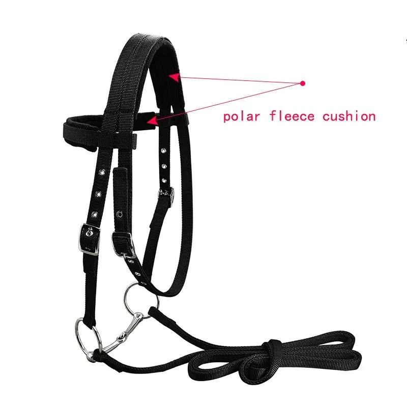 PP Webbing Horse Bridle مع Rein، وسادة من الصوف القطبي + لقمة Snaffle الثابتة #5