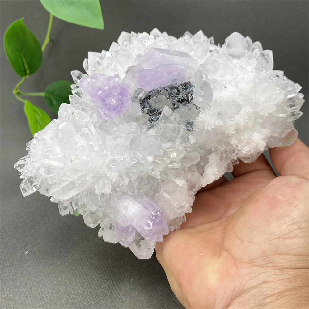 Natural Rare Transparent White Crystal And Amethyst Quartz Symbiosis Angel Halo Mineral Specimen Ornaments Home Decoration