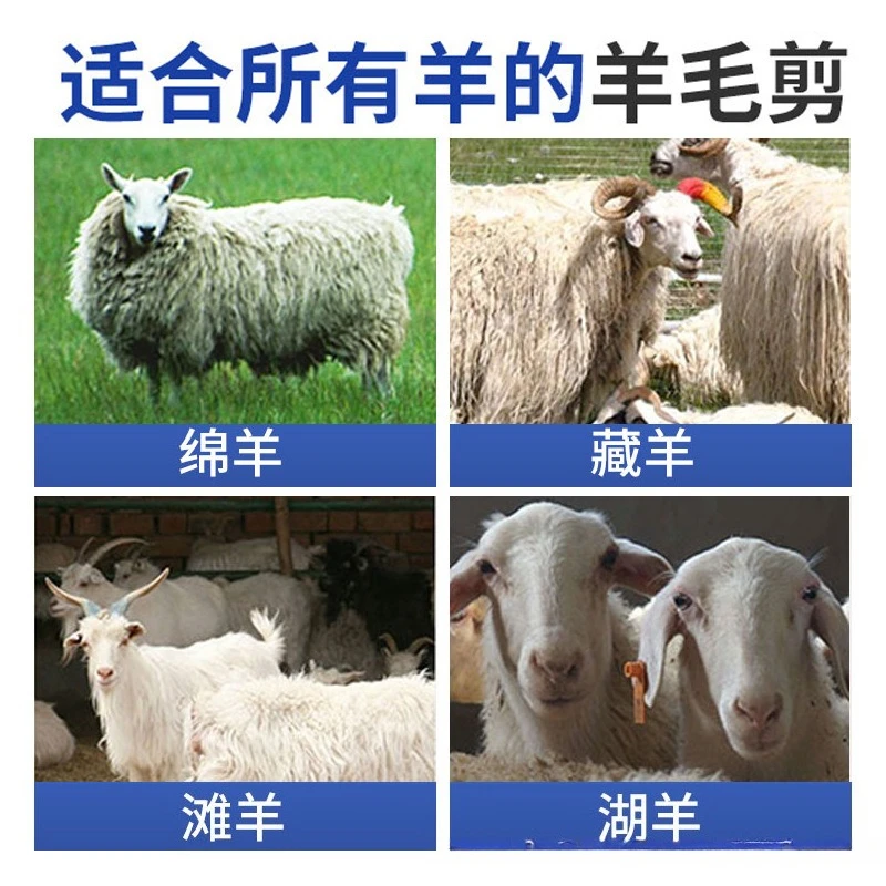 2025 Spingitore elettrico per tosatura di lana con batteria al litio per tosare la lana Tosatrice elettrica