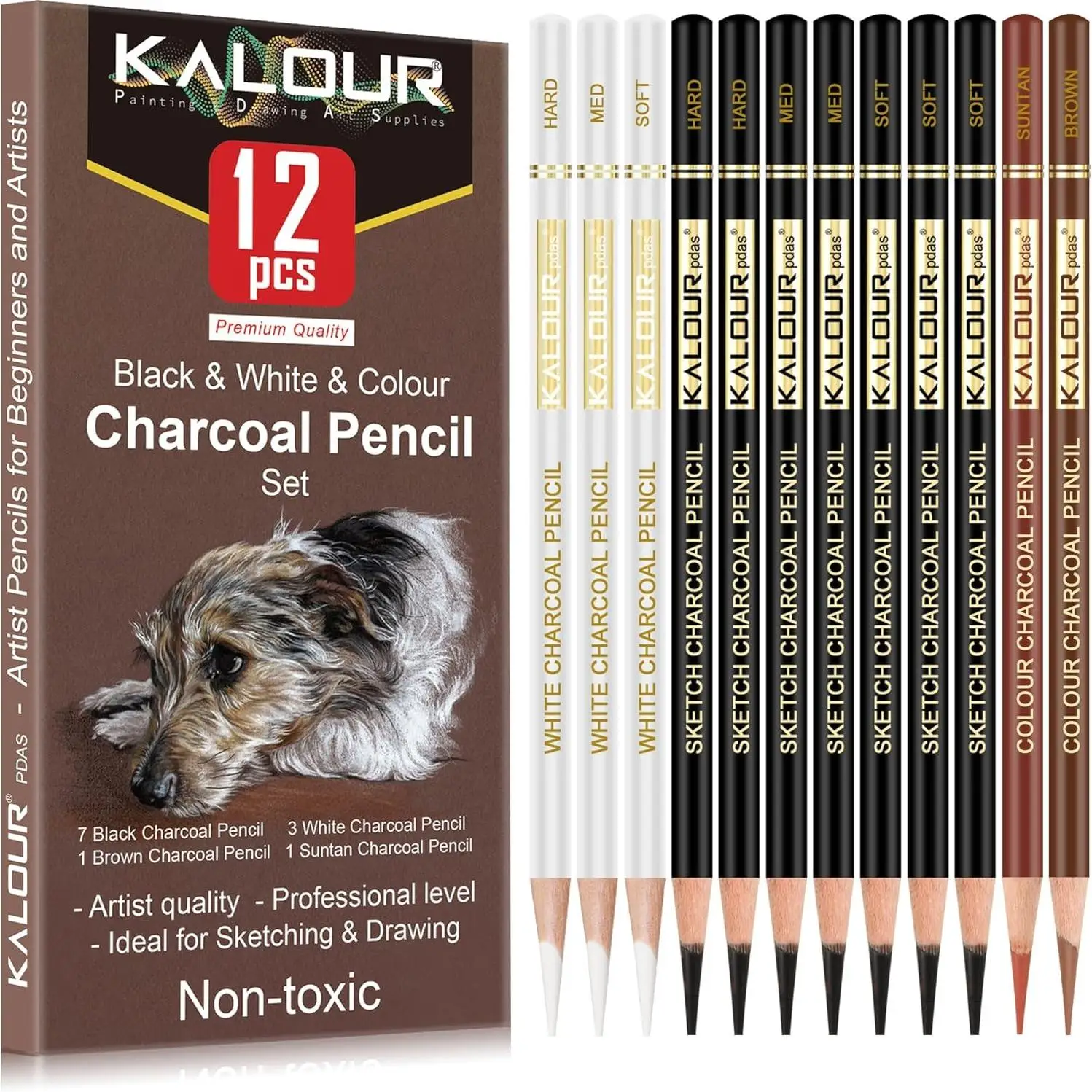 12 Colored Charcoal Pencils Drawing Set,12 Pieces Pastel Chalk Pencils for Sketching, Shading, Blending, Portrait, Black White C