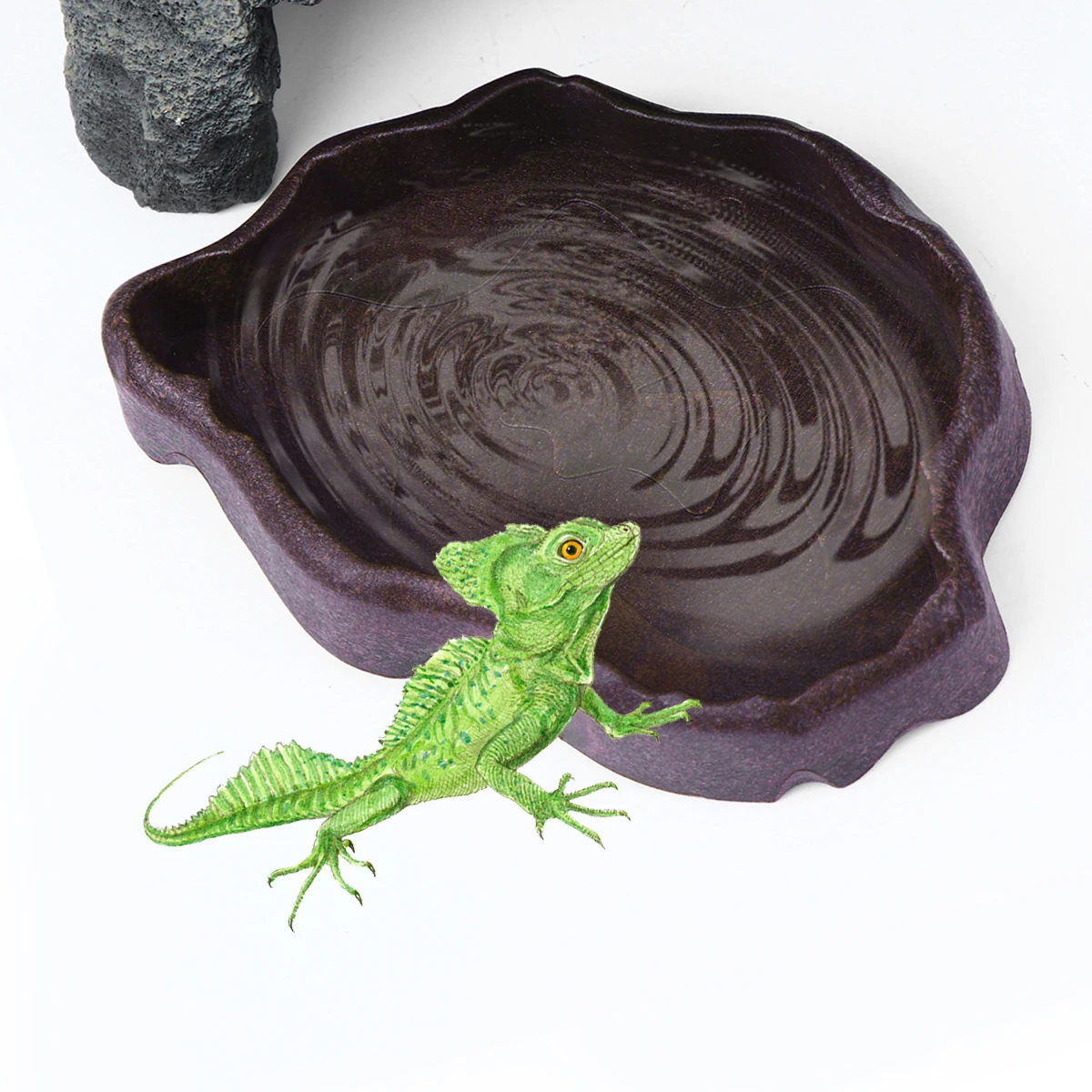 

Pet Feeding Basin Resin Bowl Lizard Frog Reptile Food Water Dish Supplies Accessories Sturdy Non Slip Durable Small Pets