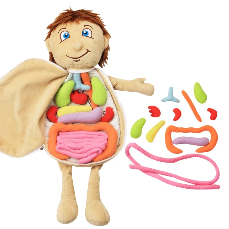 Kid 3D Puzzle Human Body Model Anatomy Plush Toy Montessori Learning Organ DIY Assembled Toy Preschool Body Organ Teaching Tool