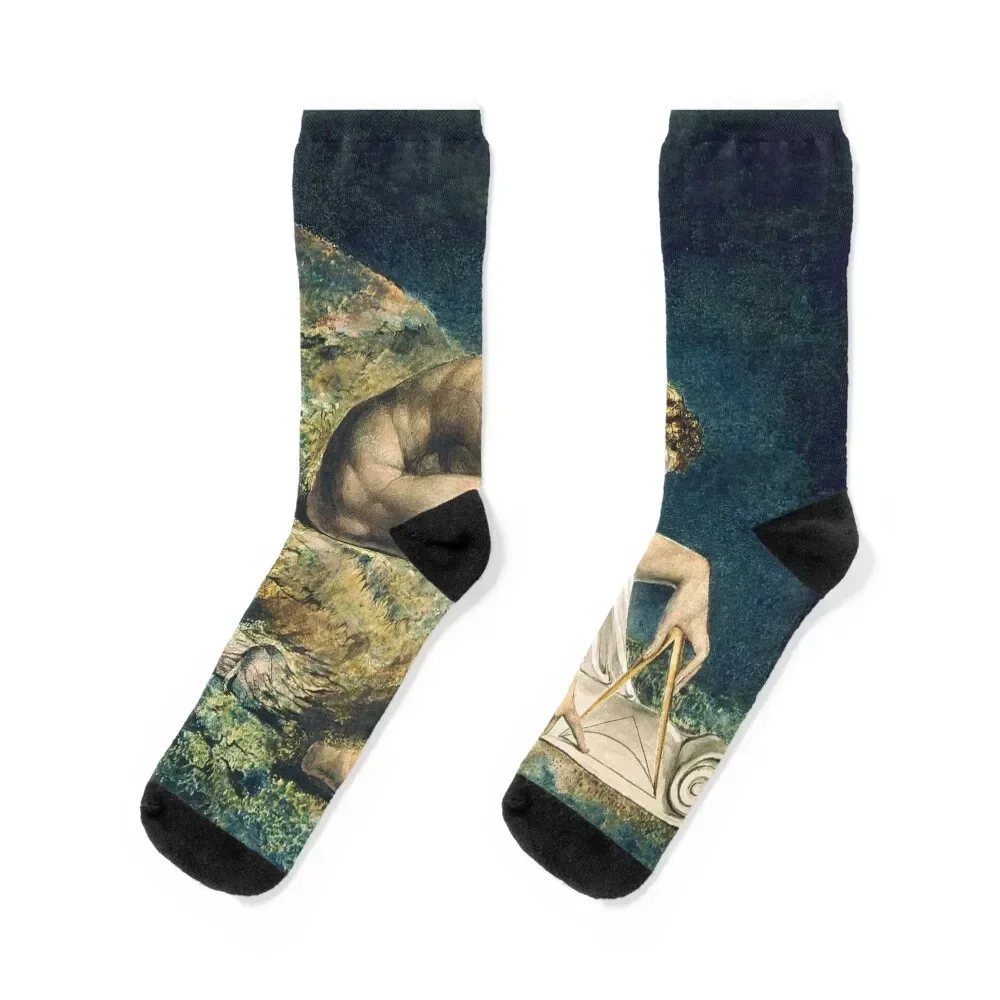 William Blake Newton Socks hiking cotton Designer Man Socks Women's