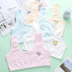 4Pcs/lot Cotton Young Girls Training Bra Kids Vest Teens Teenage Underwear Children Bras Girl Tube Top sports 7-16Y bra set