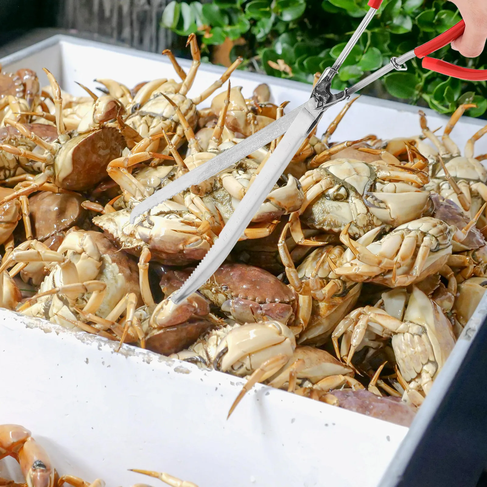 

Zinc Alloy Plastic Household Tortoise Multi-Function Crab Tong Clamp For Home Outdoor Camping Bbq Fishing Eel Garbage