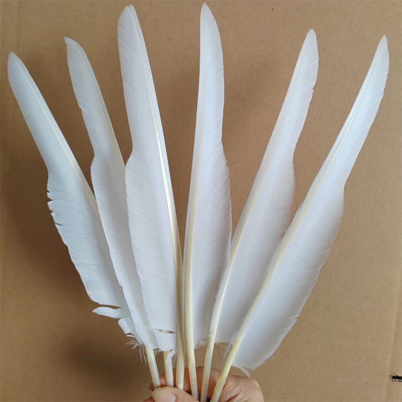 Plumas Decoracion!50PCS/LOT!Pretty White Goose Shoulder Feather plumes,White Goose Quills 10-12inches 25-30 cm for Crafts