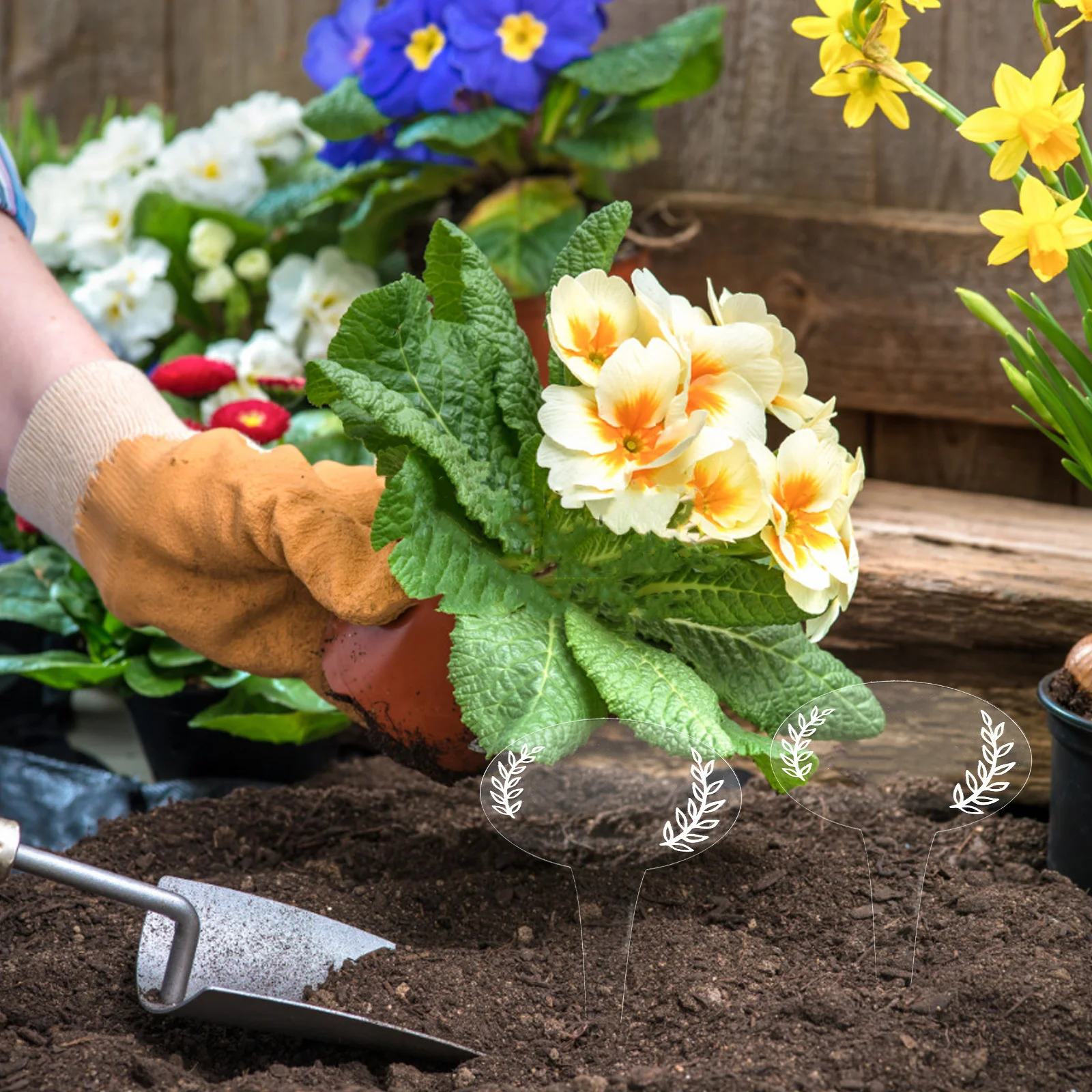 

12 pcs Acrylic Plant Markers Diy Garden Label Stakes For Easy Identification Outdoor Yard Park Use Vegetable Herb Flower Potted