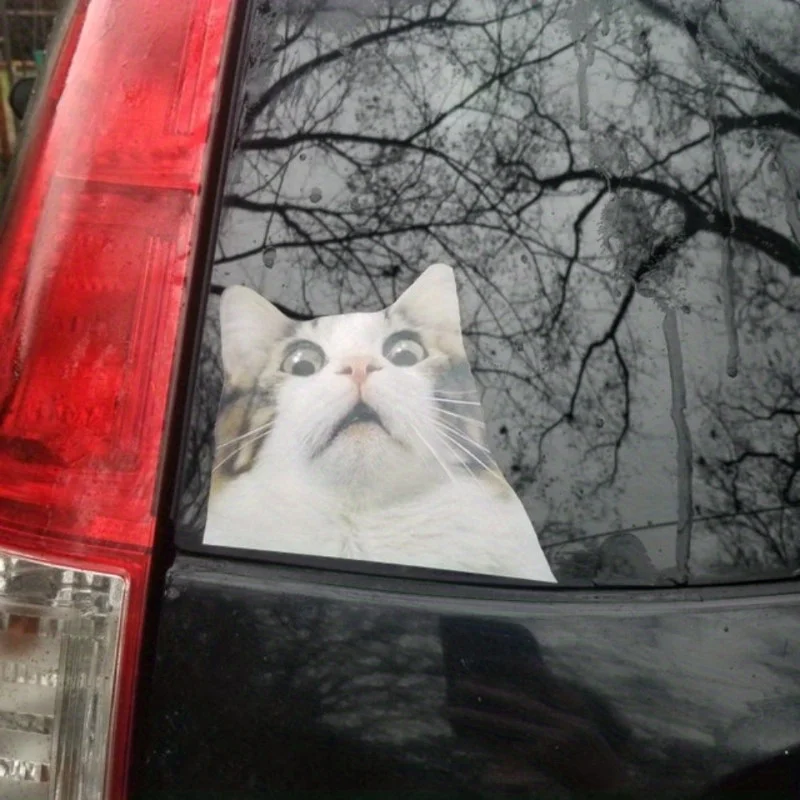 2 szt. Naklejki Strach na Koty - Śmieszne Naklejki z Kotami w 2 Rozmiarach, Śmieszny Kot, Śmieszna Naklejka z Kotem, Naklejka z Kotem