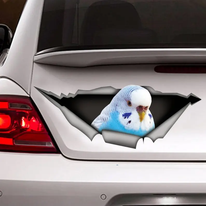 Budgie bird car decal, blue budgie sticker, parrot decal, pet decal