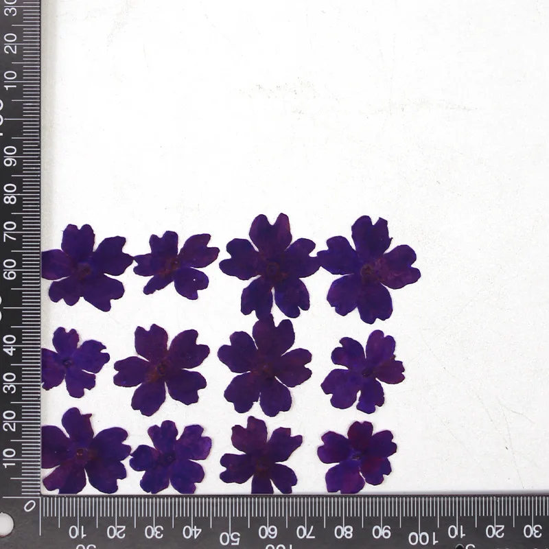 12 Stück, echte getrocknete Blumen, Prägematerialien, DIY-Zubehör für Epoxidharz, für Handyhüllen, Nagelkunst, Gesichtsaufkleber, handgefertigte Dekoration – Detail 21