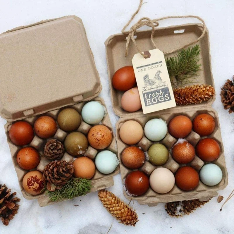 Vintage Blank Egg Cartons- Classic 3X4 Style Holds 12 Large Eggs, Sturdy Design Made From Recycled Egg Box