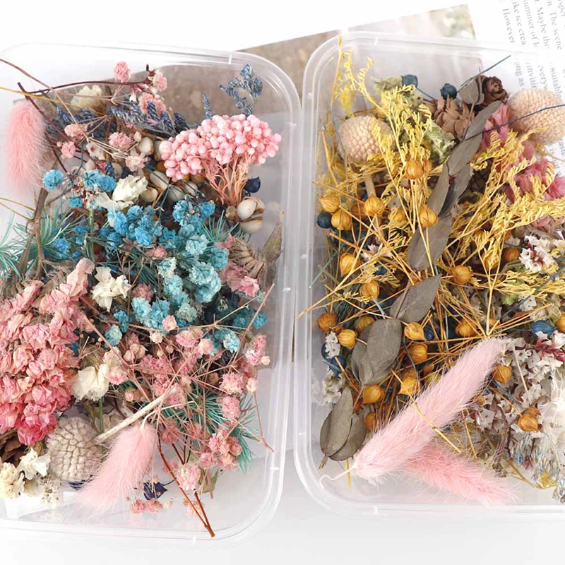1 Box Dried flowers For Party Festival Decoration Epoxy Resin Real Dry Plant Making Photo Frame Souvenirs Craft DIY Accessories