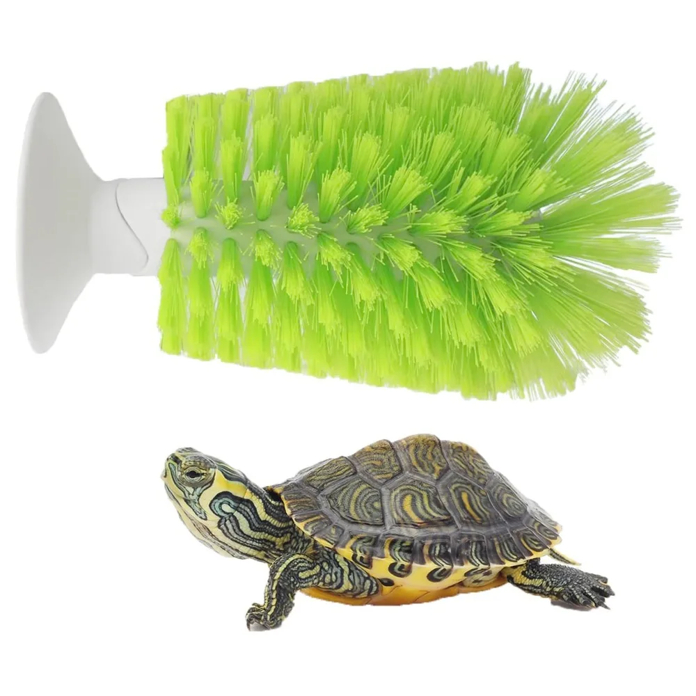 

Scrubber Turtle Shell Cleaning Brush Cleanser Brace Small Animal Plastic Aquatic Tortoise