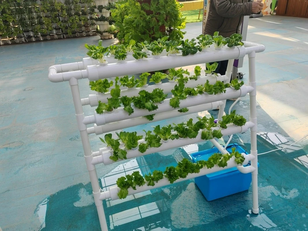 Hydroponic System Automated Hydroponics Tower YY Soilless Cultivation Equipment Vegetable Planting Rack Balcony Pipeline Type
