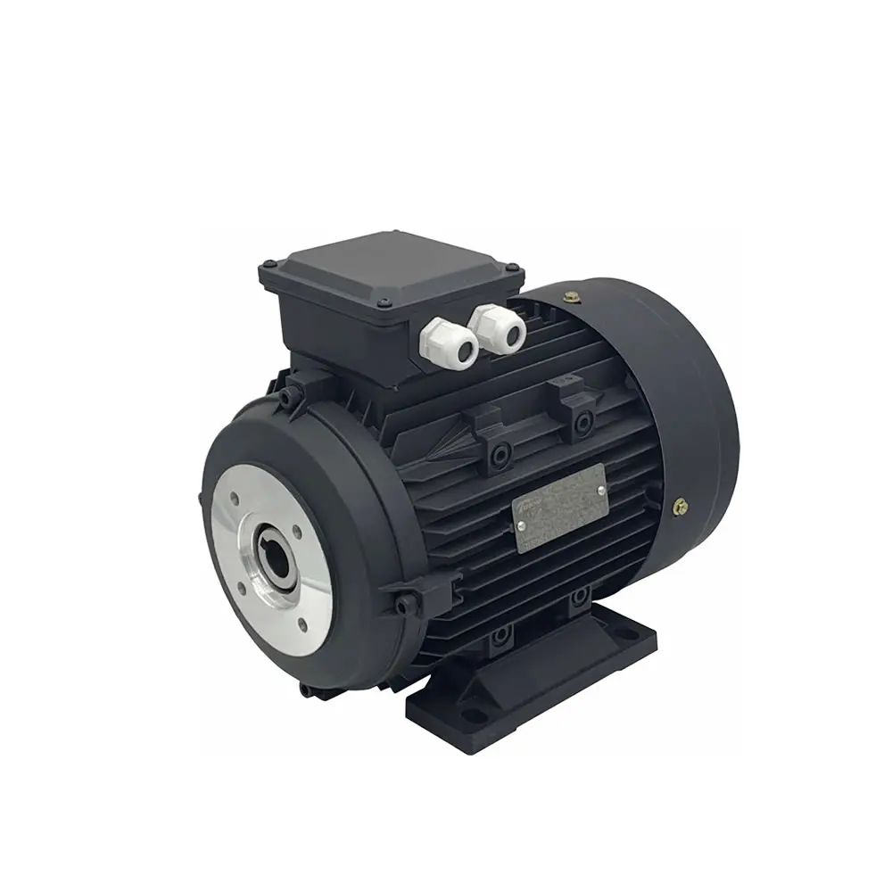 230v/400v 4kw 24mm Hollow Shaft Electric Motor for Car Wash Machine