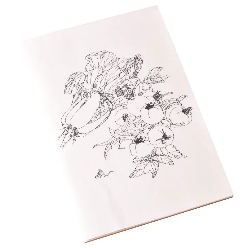 Meticulous Drawing Manuscript Color Ripe Rice Paper Vegetable and Fruit Line Drawing for Beginners Watercolor Chinese Painting