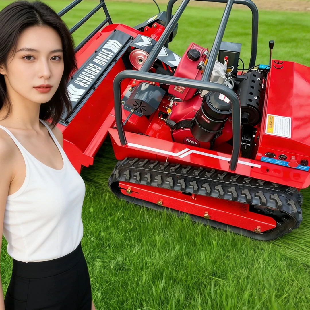 

Customized remote-controlled garden zero turn lawn mower with multiple services and fast delivery