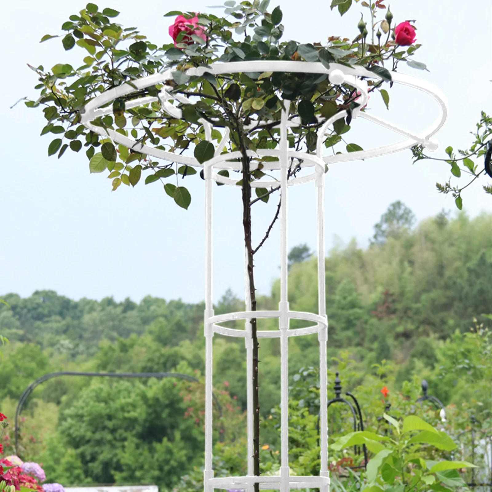 Garden Arch Trellis Plant Support Rustproof Frame For Climbing Vines Flowers Stand Indoor Outdoor Floral Climbing Pile Stander