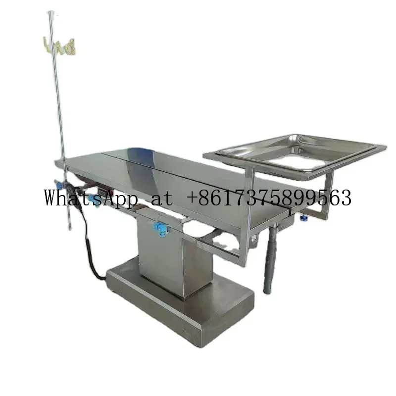 Veterinary Operation Lifting Vet Pets Examination V Top Veterinary Surgery