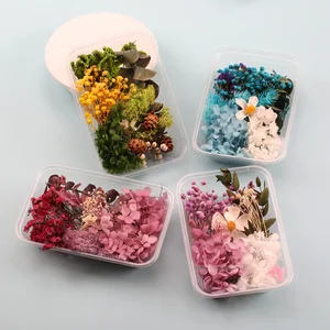 Real natural flowers for resin, artificial plants, home decoration, candle molds, craft tools, making accessories, 1 box 10 Main Sales Natural Dry Flowers - №7