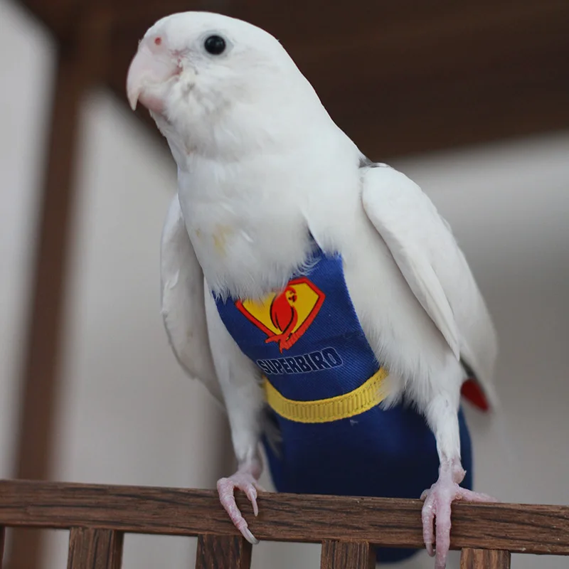 

Parrot Clothes Bird Diaper Superhero Bird Clothes Parrot Accessories Flight Suit Bird Supplies Pet Products