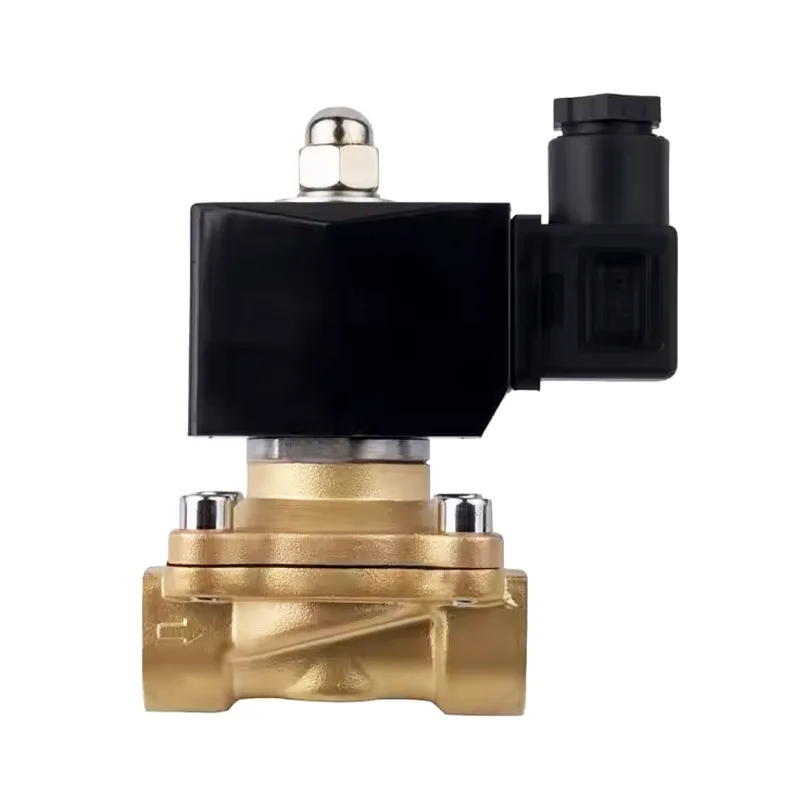 Top Selling High Quality Solenoid Valve 24V Electric Solenoid Micro Valve Cheap 2 Way 1/2