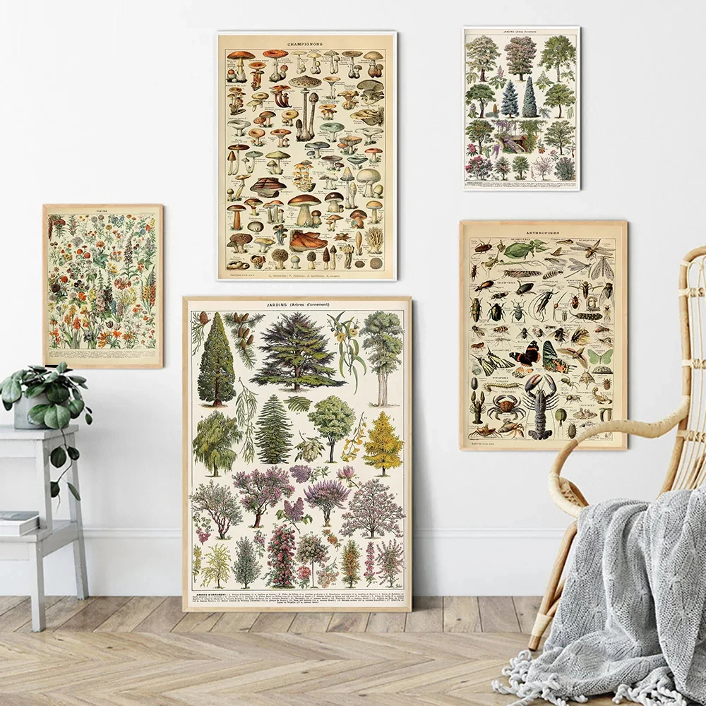 Posters and Prints Botanical Mushrooms Herbs Flowers Insect Canvas Paintings Wall Art Decor Vintage Adolphe Millot Encyclopedia