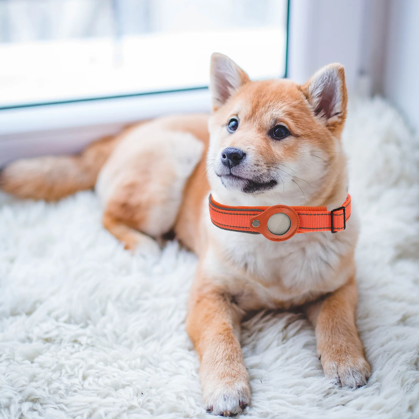 

Pet Collar Case for 1 ange Protective Case XL Tracker Locator Holder Dog Accessories Reflective Durable