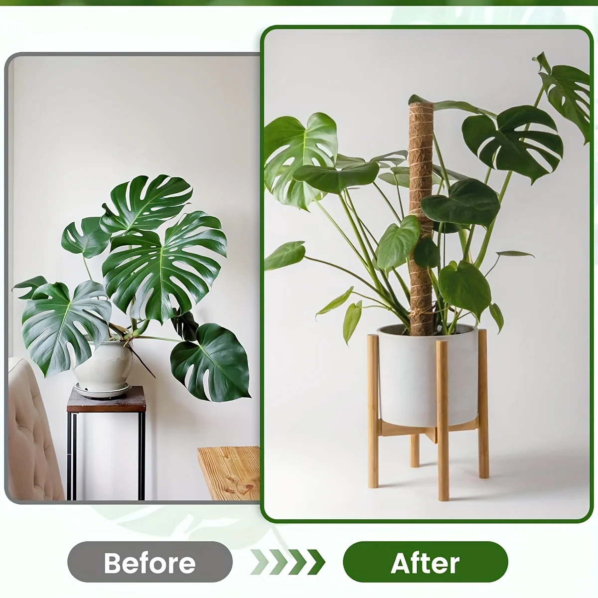 سقالة نباتية قابلة للسحب أشياء مفيدة لملحقات نباتات الحديقة ديكور خارجي حامل دعم داخلي نبات حديقة المنزل