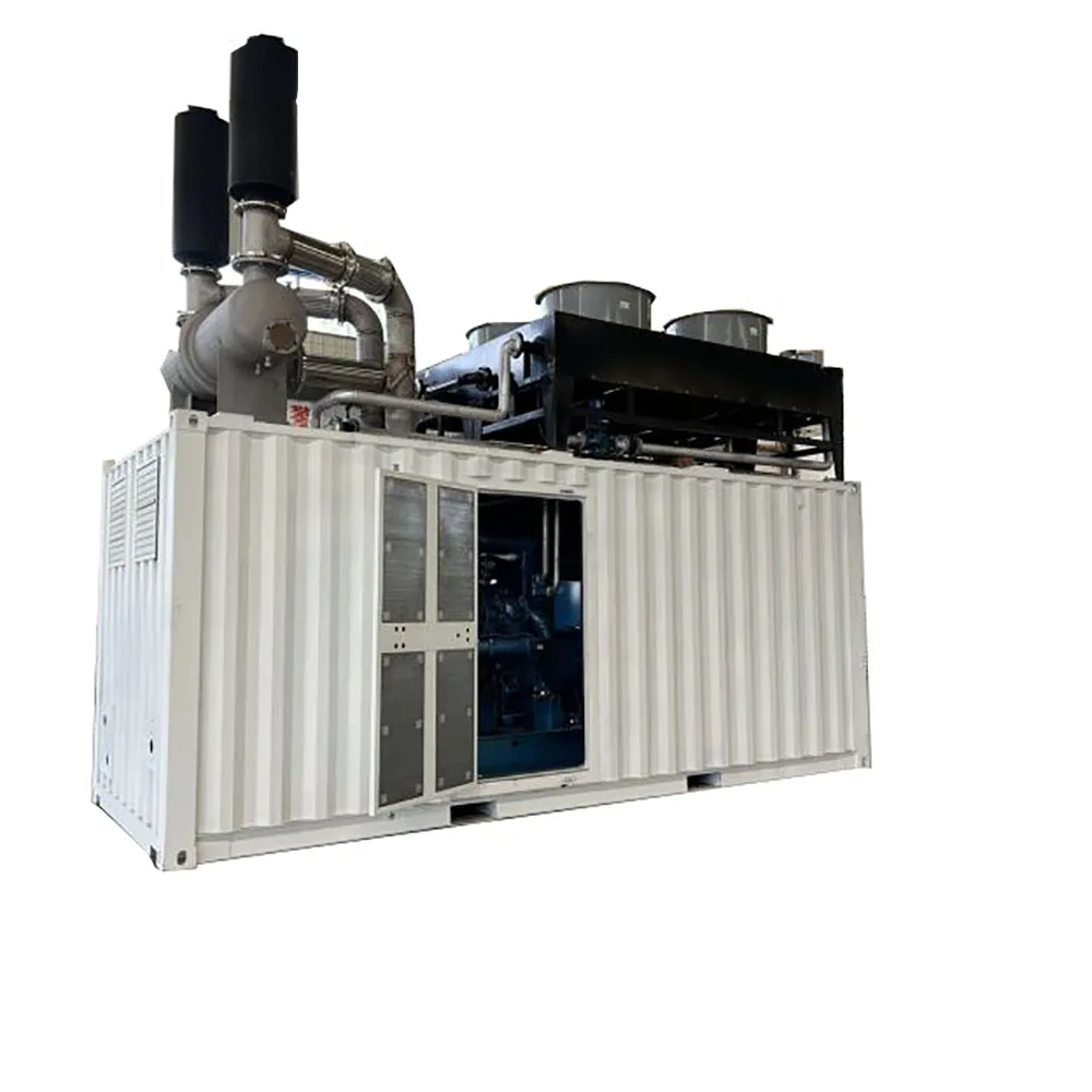 220V Power Elektrische Gas Generator Prijs 750kva Natuurlijke Set