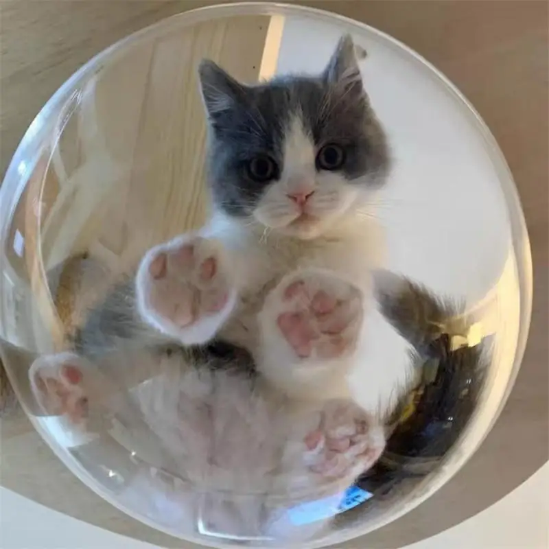Acrylic Dome Cover Transparent Food Dust-proof Cover Cat Nest Space Capsule Cover 30cm Cat Nest Hemispherical Cover Cat Toys