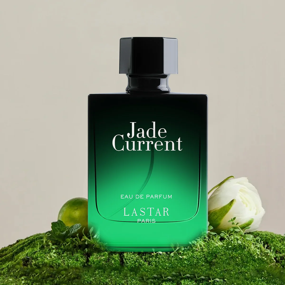 عطر LASTAR للرجال، عطر يدوم طويلاً، ملاحظة فواكه طازجة، 50 مل/1.7 أونصة، مناسب للتمر الخارجي، هدية عيد الميلاد. #5