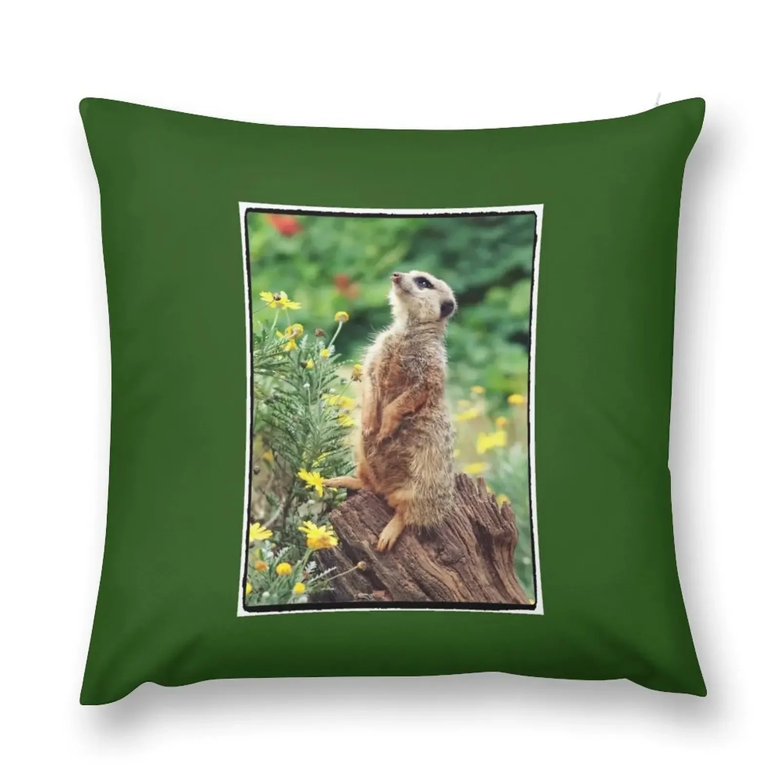 meerkat magic Throw Pillow Cusions Cover Anime Pillow Covers Decorative pillow