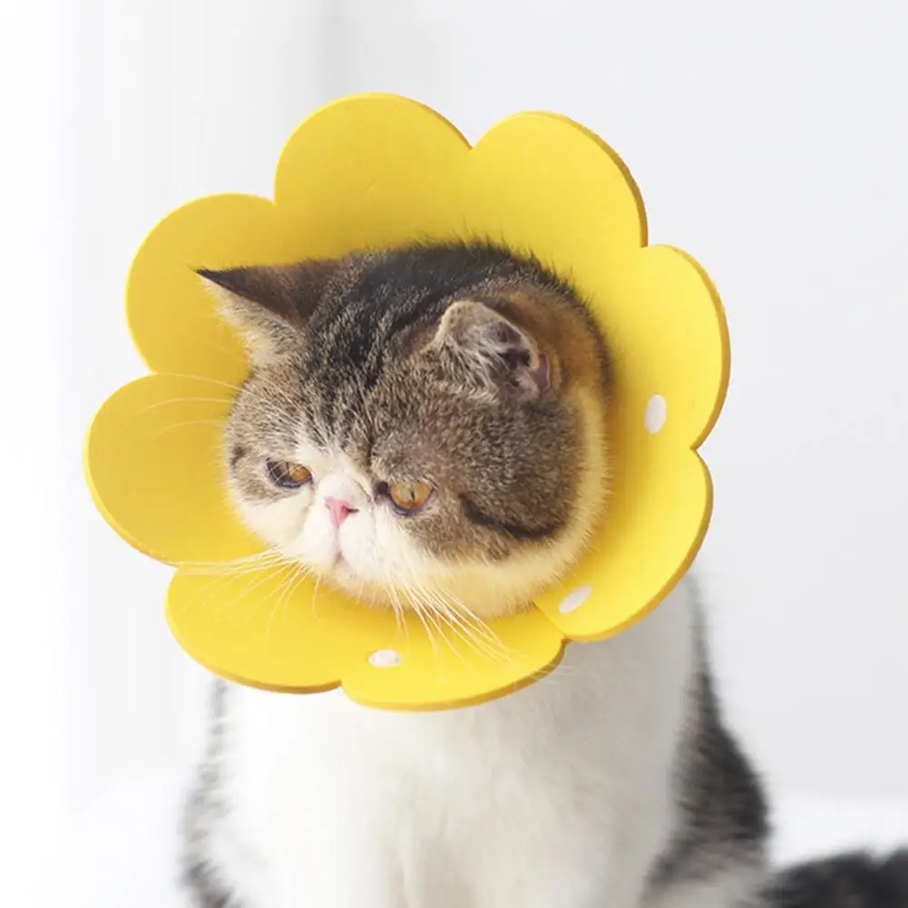 Protective Collar Flower Design Anti-lick EVA Cat Protective Collar Elizabeths Circle Collar Cat Wound Healing Medical Anti Bite